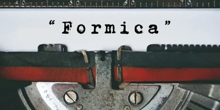 Copertina dell’editoriale «Formica»